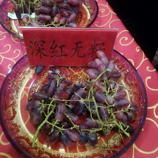 兴城市深红无籽