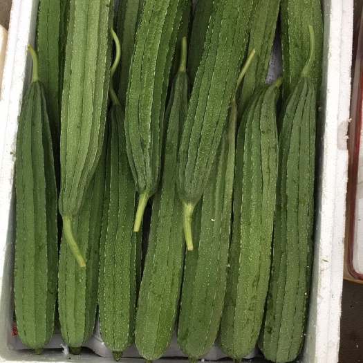 桂林油白豆角 70cm以上