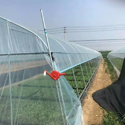 沭阳县蔬菜大棚 标准蔬菜温室大棚！质保10年！