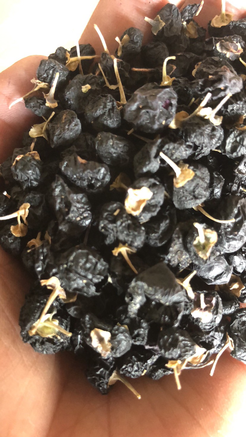  诺木洪黑枸杞大果