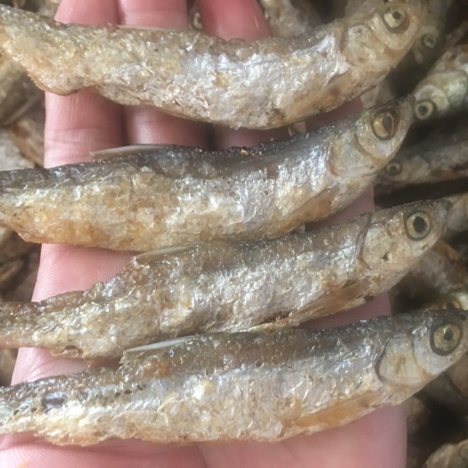 定南县白条鱼 无盐  小白条油干