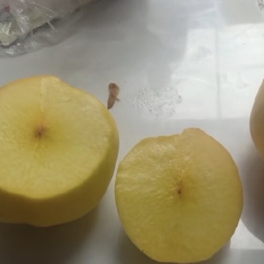 商丘 兄弟姐妹看看俺家的黄桃 黄金蜜三号