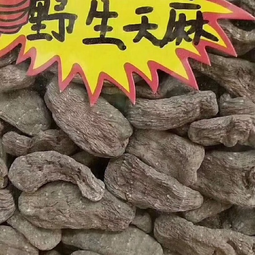 彝良县 正宗小草坝天麻！