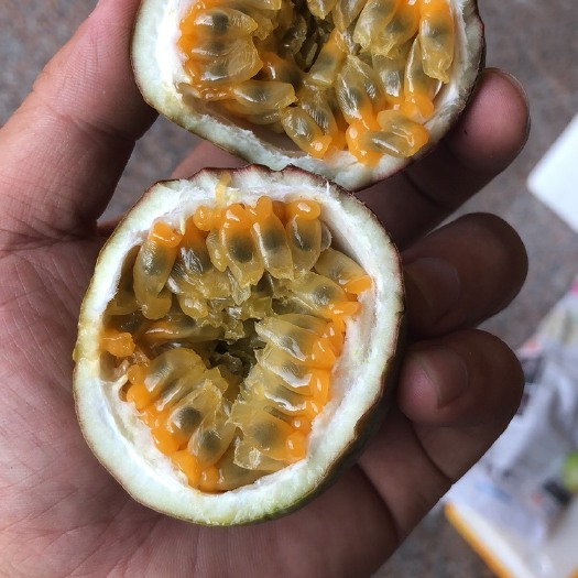 龙岩 百香果