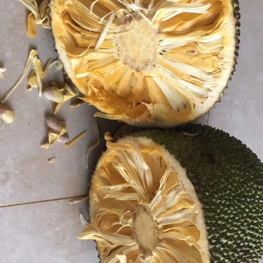 保亭县越南菠萝蜜 长期直供，价格美丽