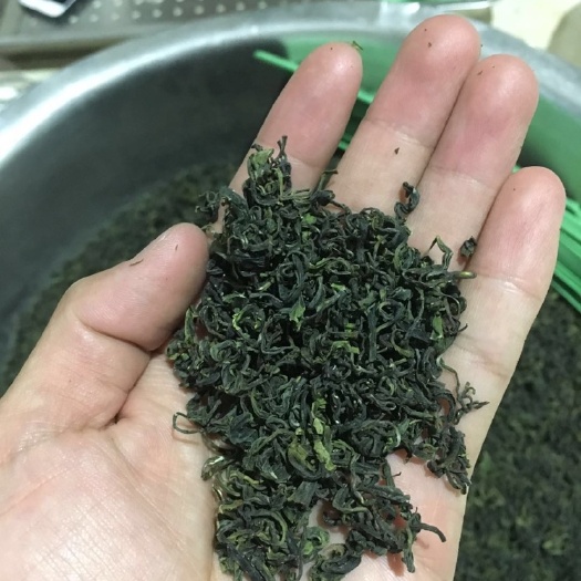 日照 无公害日照绿茶，自产自销