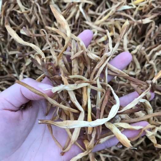 长沙紫香一号百香果 40 - 50克