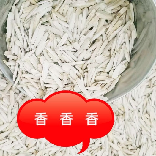 阿克苏市新疆牙签瓜子 阿克苏白瓜子马牙瓜子阿克苏直发支持一件代发