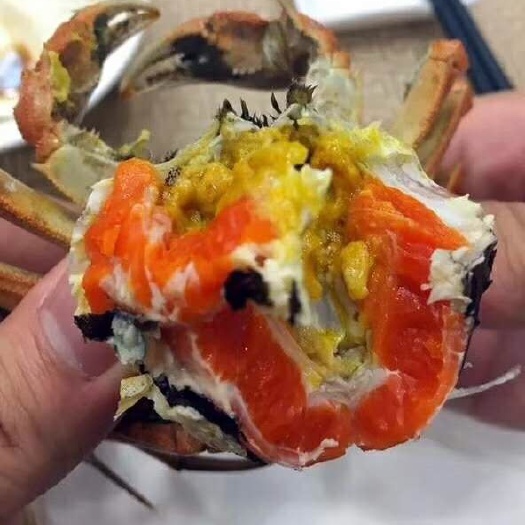 秦皇岛七里海河蟹 自己基地培育蟹农一手货源