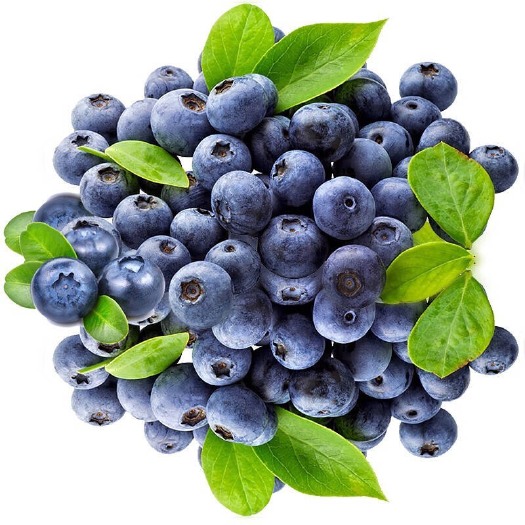 蓝莓当季现摘新鲜水果宝宝辅食水果批发
