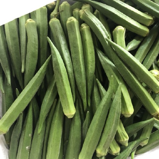 阜南县黄秋葵 10 - 12cm