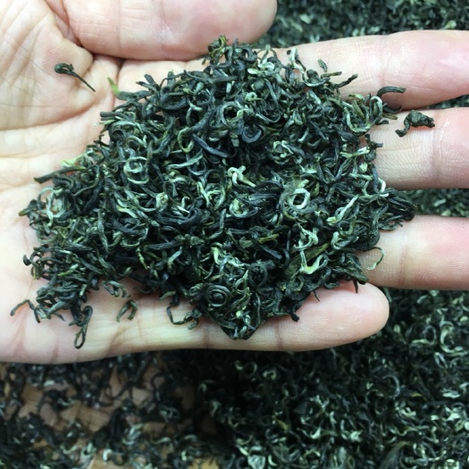 安溪县碧螺春新茶特级清香甘醇鲜爽口感 铁罐两罐一斤装 ，礼盒装