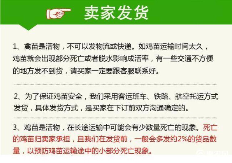 K9麻黄鸡苗 K9麻黄鸡   正规厂家优质禽苗量大价优包路上