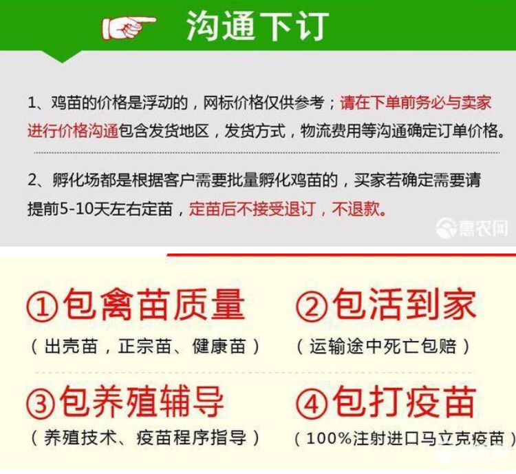 K9麻黄鸡苗 K9麻黄鸡   正规厂家优质禽苗量大价优包路上
