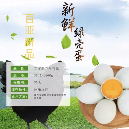 温州 乌鸡蛋 绿壳蛋 无抗全散养  标准蛋10个左右/斤