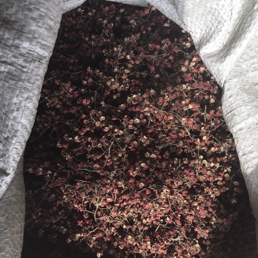 芮城县大红袍花椒 韩城大红袍