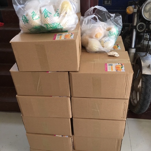 澧县 自家有机种植纯正的大黄桃，香甜可口，甜而不腻，口感温和，水分