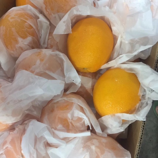 广州赣南脐橙 南非橙，一级品，价格优，多卖多优惠