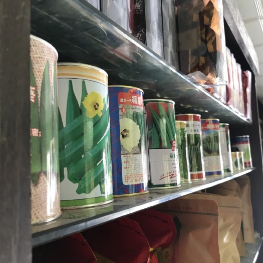 漳州 优质黄秋葵种子， 质量保证