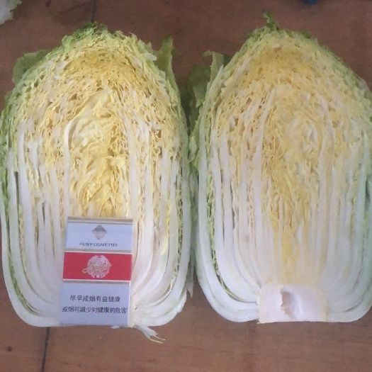 黄心大白菜 净菜 3~6斤