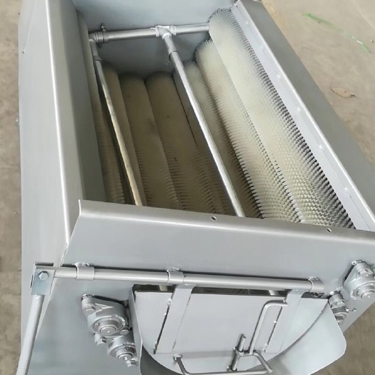 菏泽核桃去皮机