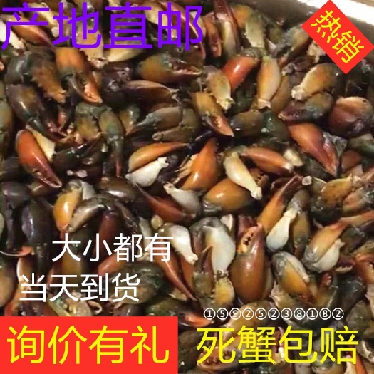 昆明 冷冻蟹钳 蟹脚 量大从优欢迎订购