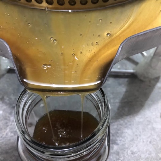 绍兴 天然野生蜂蜜