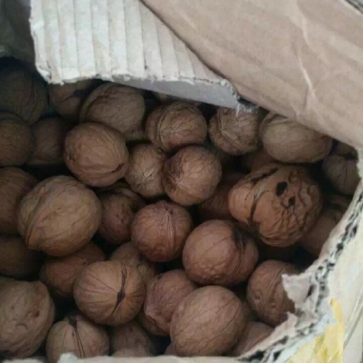 澄城县 陕西香玲核桃，自家田园。