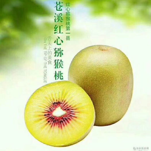 苍溪县红阳猕猴桃 苍溪红心猕猴桃自家果园种植，送礼佳品