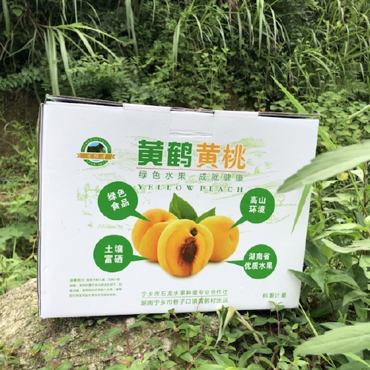 宁乡市 高山锦绣黄桃