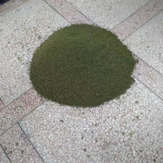 临湘市吴茱萸种子 大量供应优质吴茱萸（吴芋籽）干货