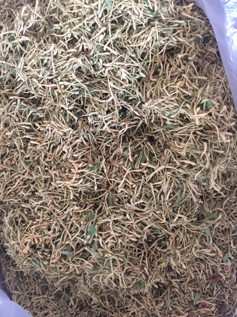  特级中草药材 金银花农户自种  品质高