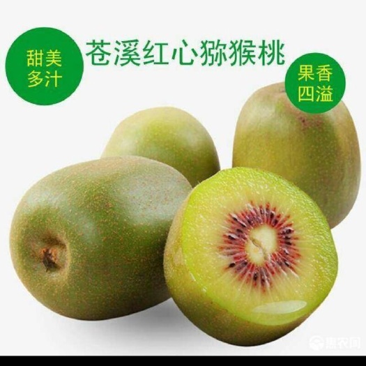 正宗苍溪红心猕猴桃精品大果，高山无公害绿色水果，送礼佳品