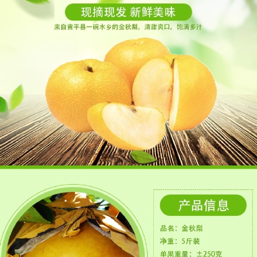 黄平县 贵州黄平山卡卡的金秋梨  品质没得说  懂的来