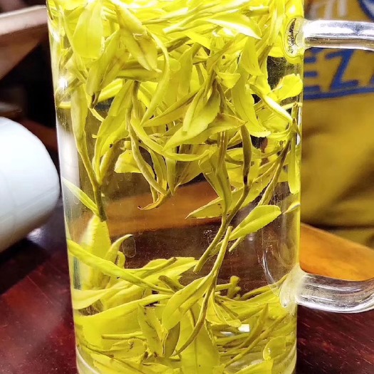 漳平市 正宗安吉明前黄金芽