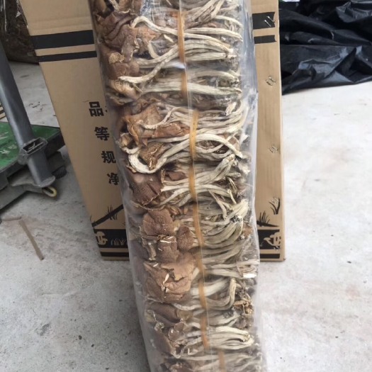 广昌县广昌3号茶树菇 江西广昌3号菇开伞菇捆把