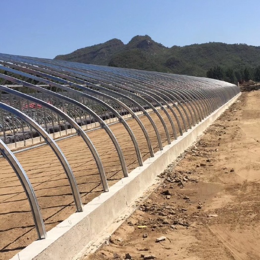 天津蔬菜大棚 需要建大棚的朋友可以联系我，全国接单，包括钢管与大棚配件