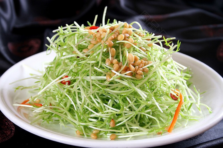 松柳芽  松柳种子 芽苗菜种子 松柳苗种子 黄金菜苗种子