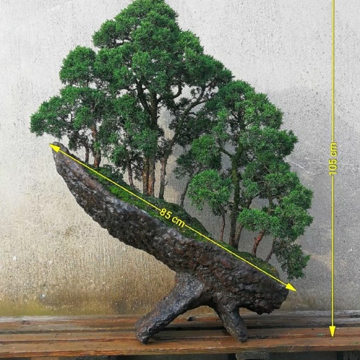 灵璧县旱地 合作 5~10年 50~100亩