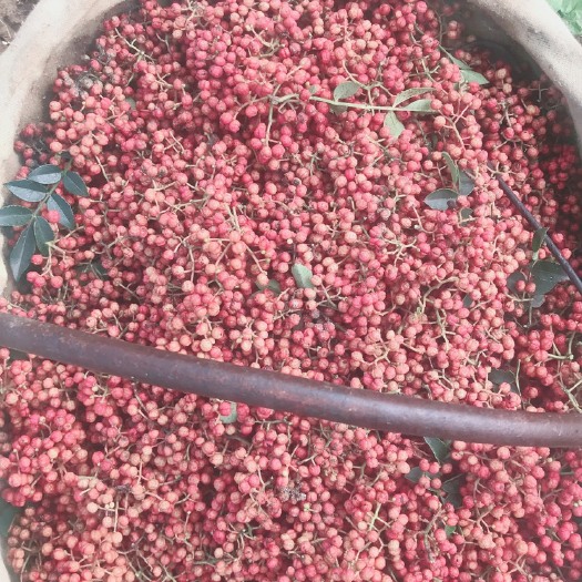 富平县富平花椒 大红袍干花椒粒