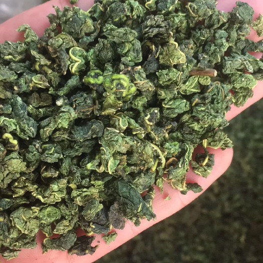 亳州桑叶茶  精品2019年新茶、颜色青、无杂质