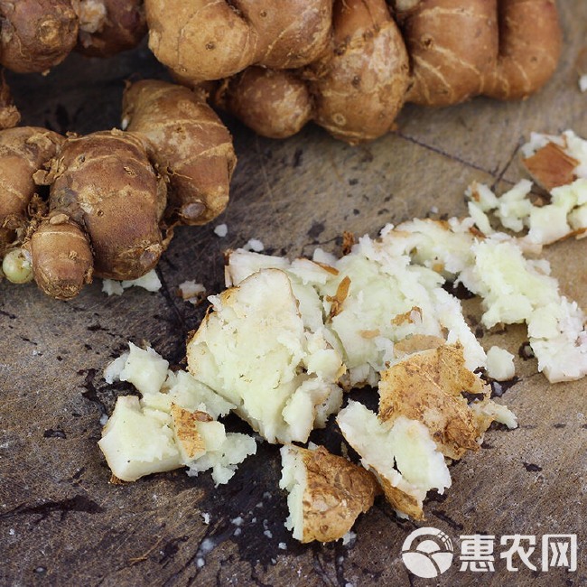 广东特产新鲜沙姜/山奈白切鸡调味配料批发