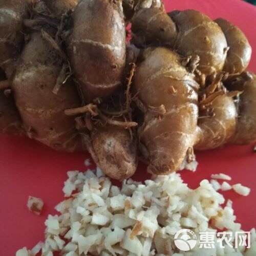 广东特产新鲜沙姜/山奈白切鸡调味配料批发