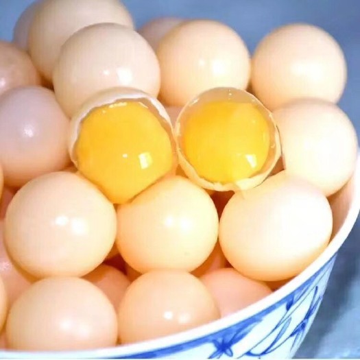 海盐县甲鱼蛋。2020年每日新鲜甲鱼蛋，绝不存货，每盒120个。