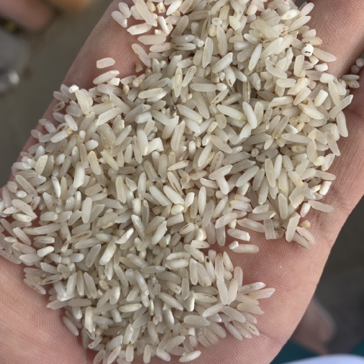 凤阳县金黄花米 常年供应优质黄米。可快递验货