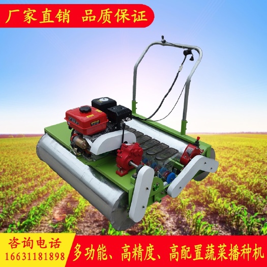 辛集市 蔬菜播种机  茴香油麦菠菜青菜汽油自走式电动手推式 精播机