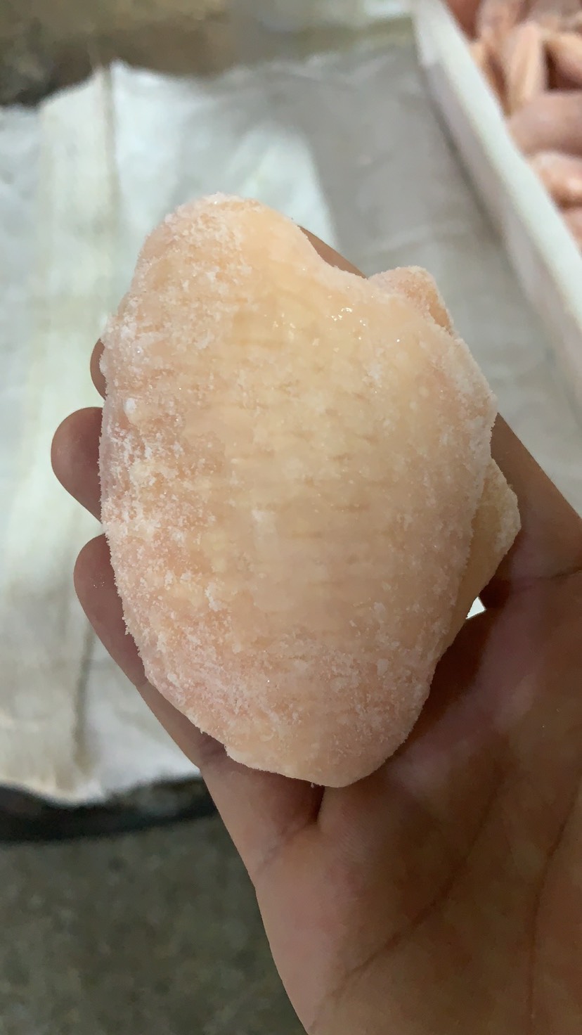  大量翅中上市，各种规格，欢迎订购
