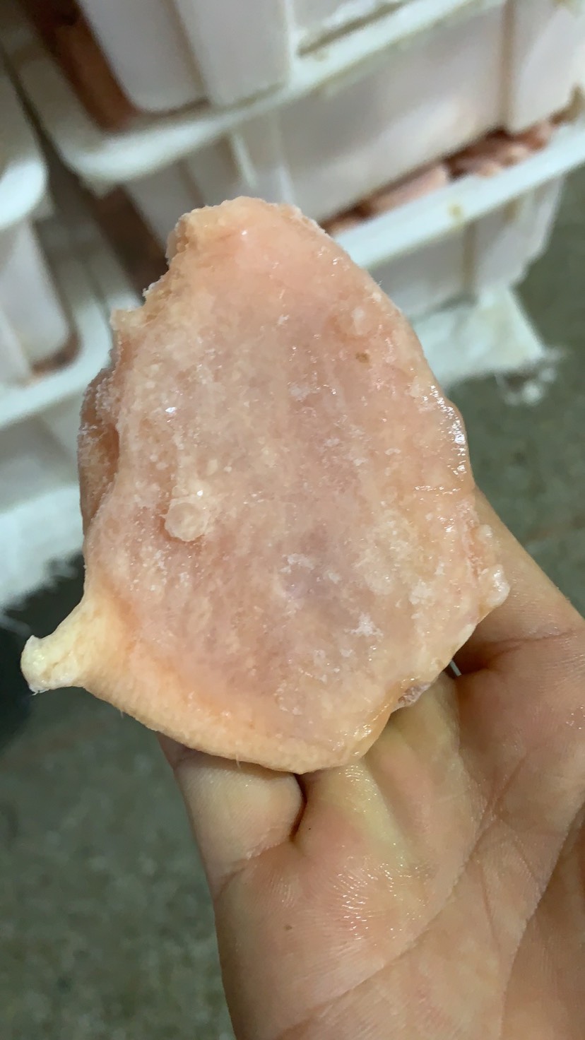  大量翅中上市，各种规格，欢迎订购
