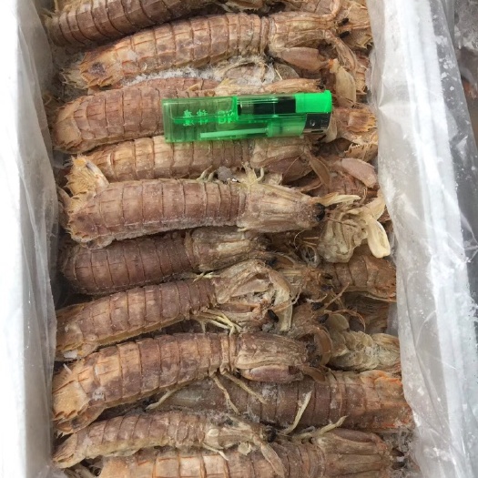 成都 皮皮虾