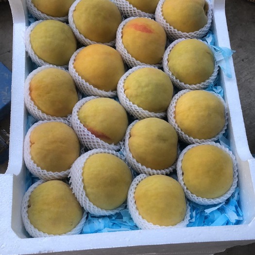 丹阳市 锦绣黄桃，质量好，品质优，果形颜色漂亮。